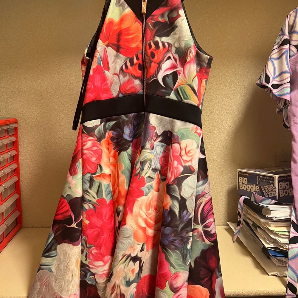 Dress - Picture 4 of 10